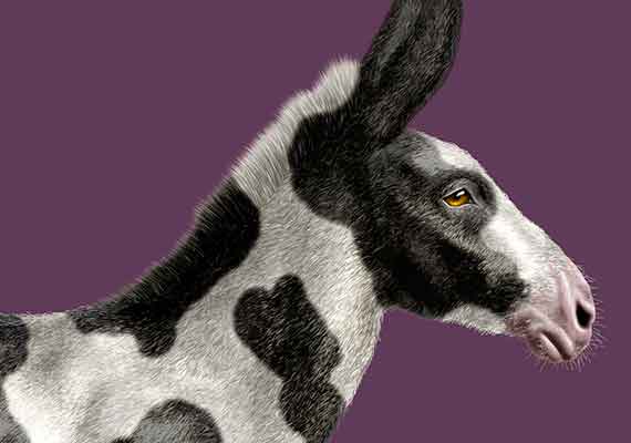 ///CONACULTA, 1er Lugar del concurso nacional de cartel Invitemos a Leer, de la XXIII Feria Internacional del Libro Infantil y Juvenil 2003.