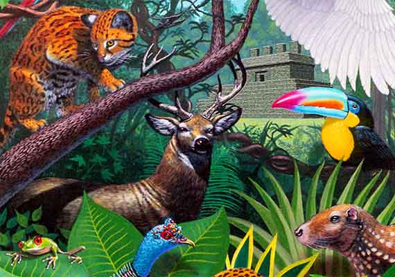 ///SEMARNAP, Carteles de biodiversidad de México, 1990