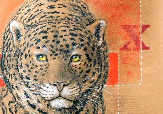 ///España, Exposición de especies en extinción, Heraclio Ramirez ilustrador invitado.